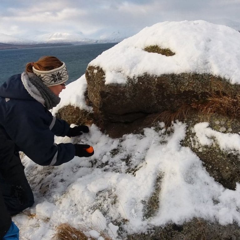 Álfaganga að Grenjá